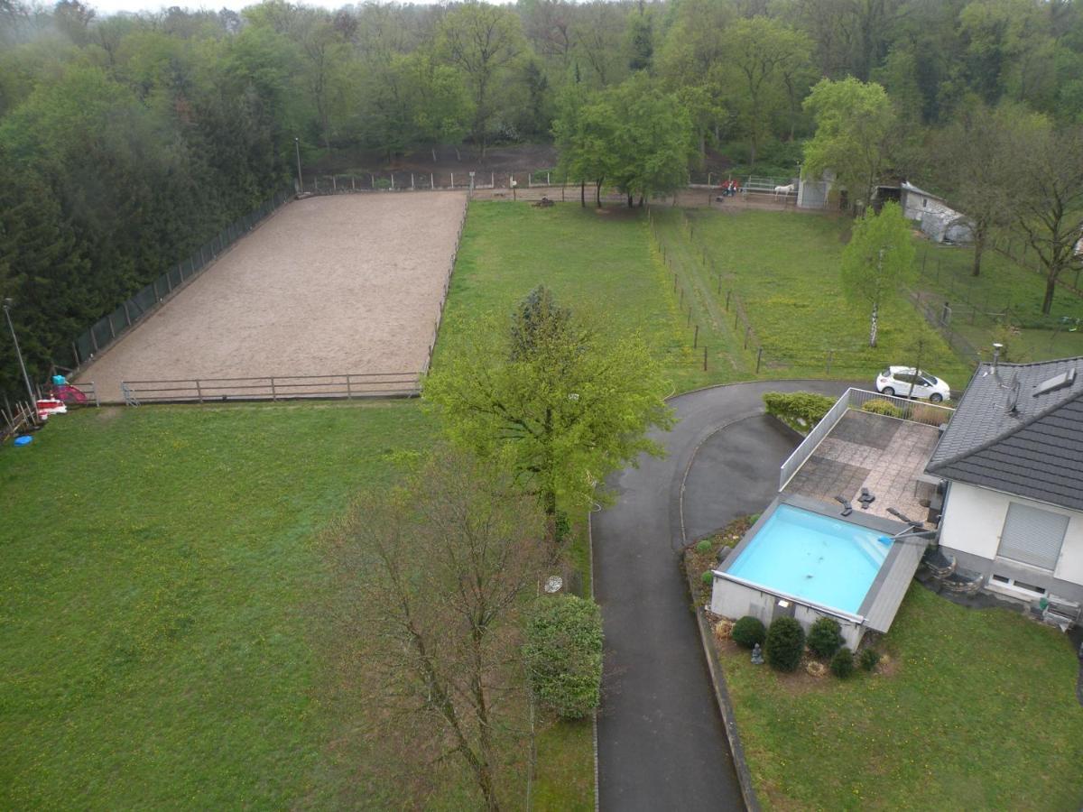 Repos Rouge-Plaisir Au Milieu Des Chevaux Apartment Kembs Exterior photo
